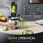 Juicer Machines, Cold Press Juicer with Wide Feed Chute, Slow Masticating Juicers for Whole Vegetables & Fruits, High Juice Yield, Easy to Clean, Large Auger, Light Silver